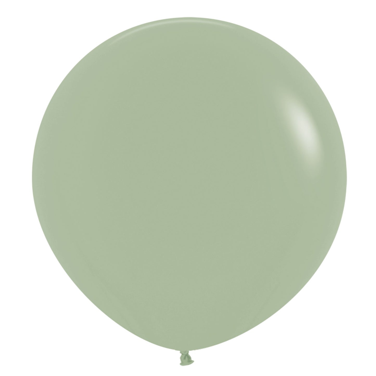 20014547 - BALL:24in Fash Eucalyptus 3pk