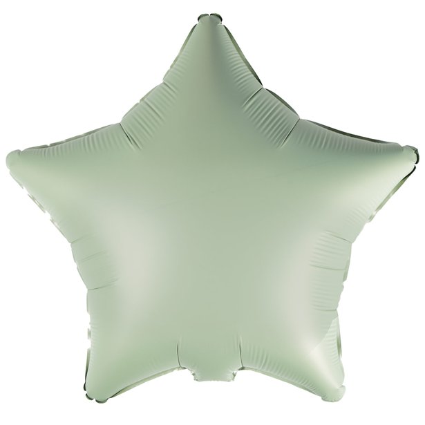 9915469 - Amscan Silk Lustre Eucalyptus Star Standard Unpackaged Foil Balloons C16 - 10 PC