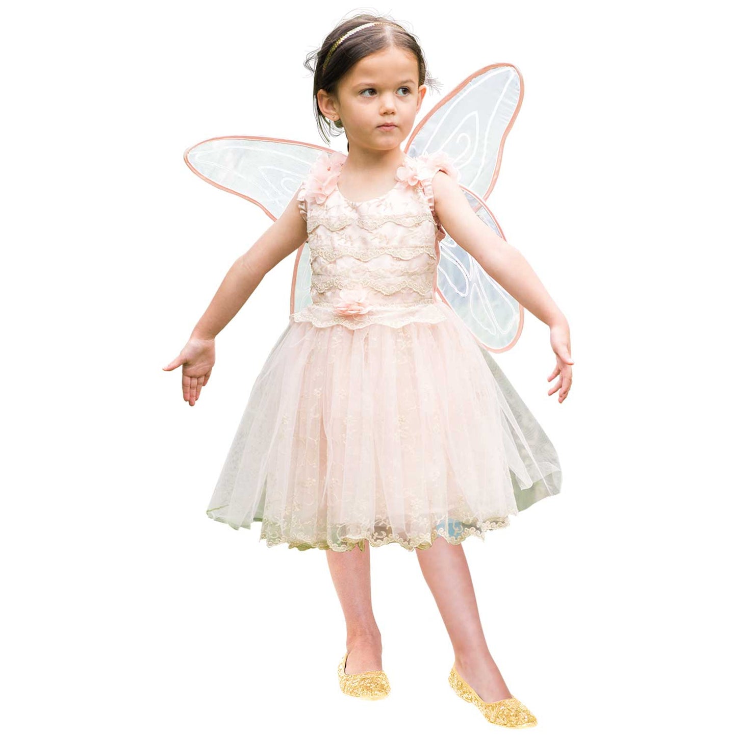 9905937 - Vintage Fairy 3-4 years
