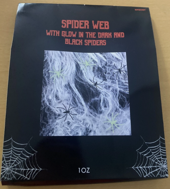 Indoor Spiders Web