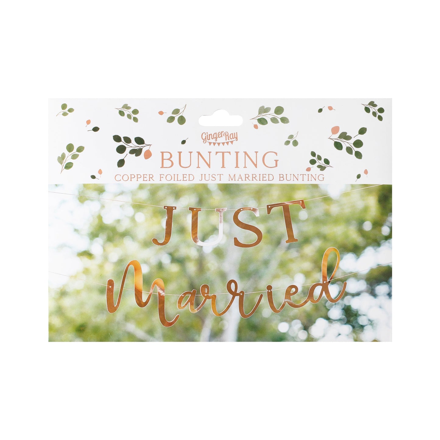 Rose Gold Scripted Just Married Banner- 5 Inner Pack