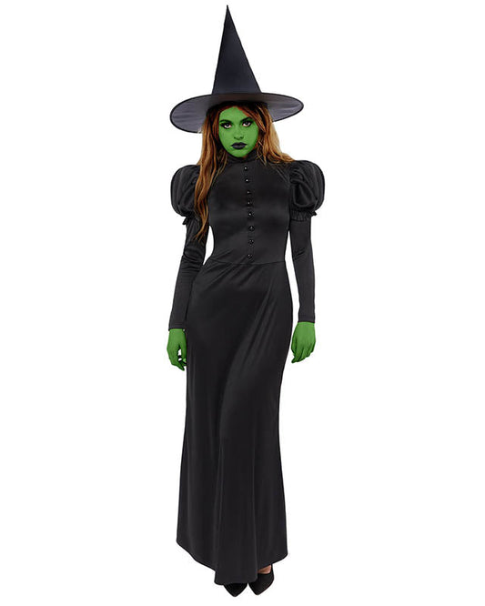 Wicked Witch Costume
