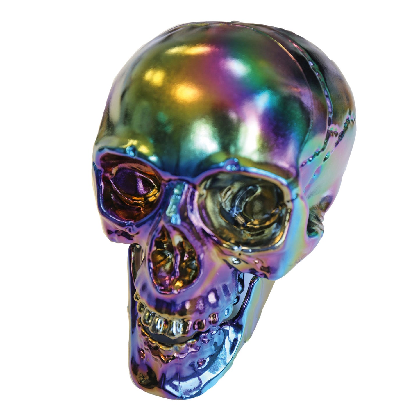 9907441 - 20cm Decor Skull Boneshine Fev