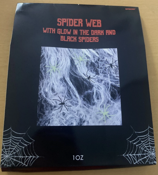Indoor Spiders Web