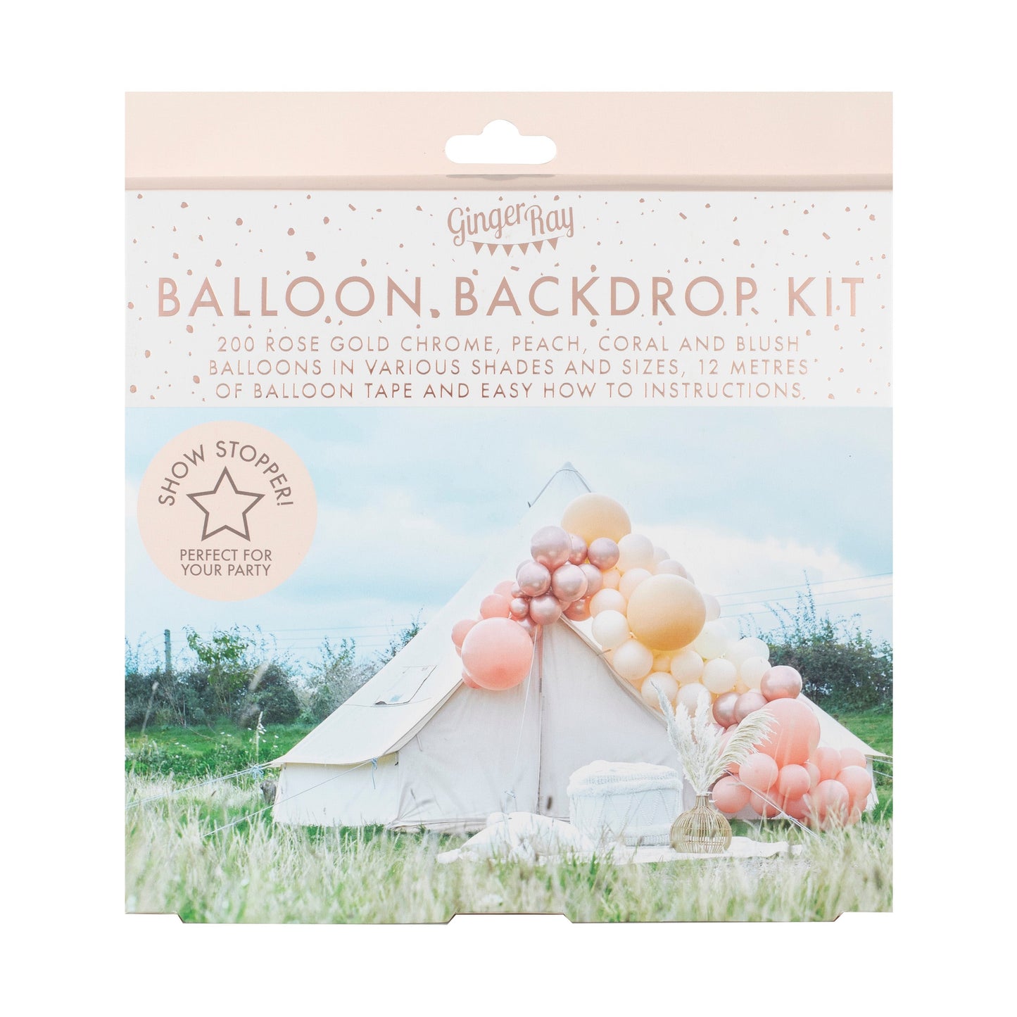 Luxe Peach, Nude And Rose Gold Balloon Arch Kit- 5 Inner Pack