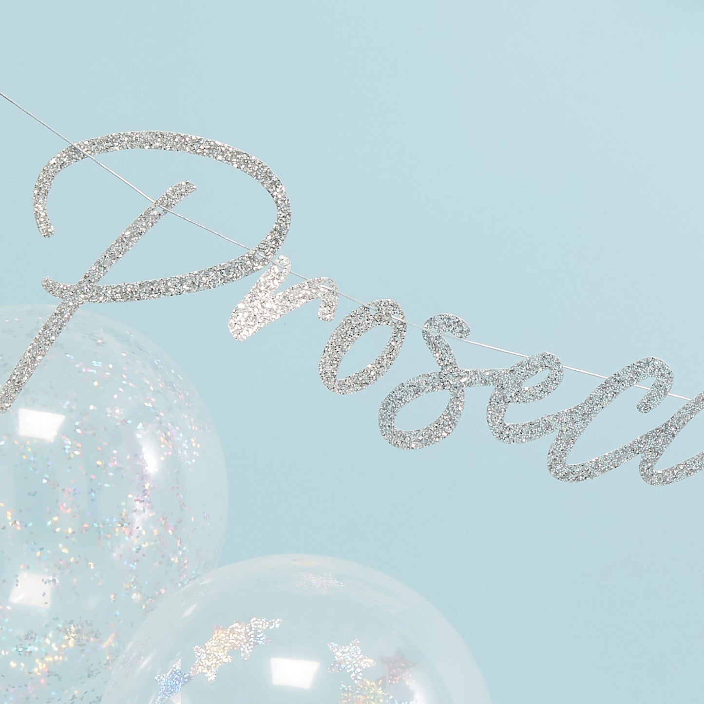 Iridescent Prosecco Ho Ho Bunting - Jolly Vibes- 10 Inner Pack