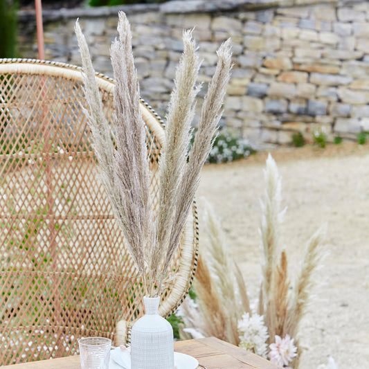 Natural Pampas Grass Decorations- 5 Inner Pack