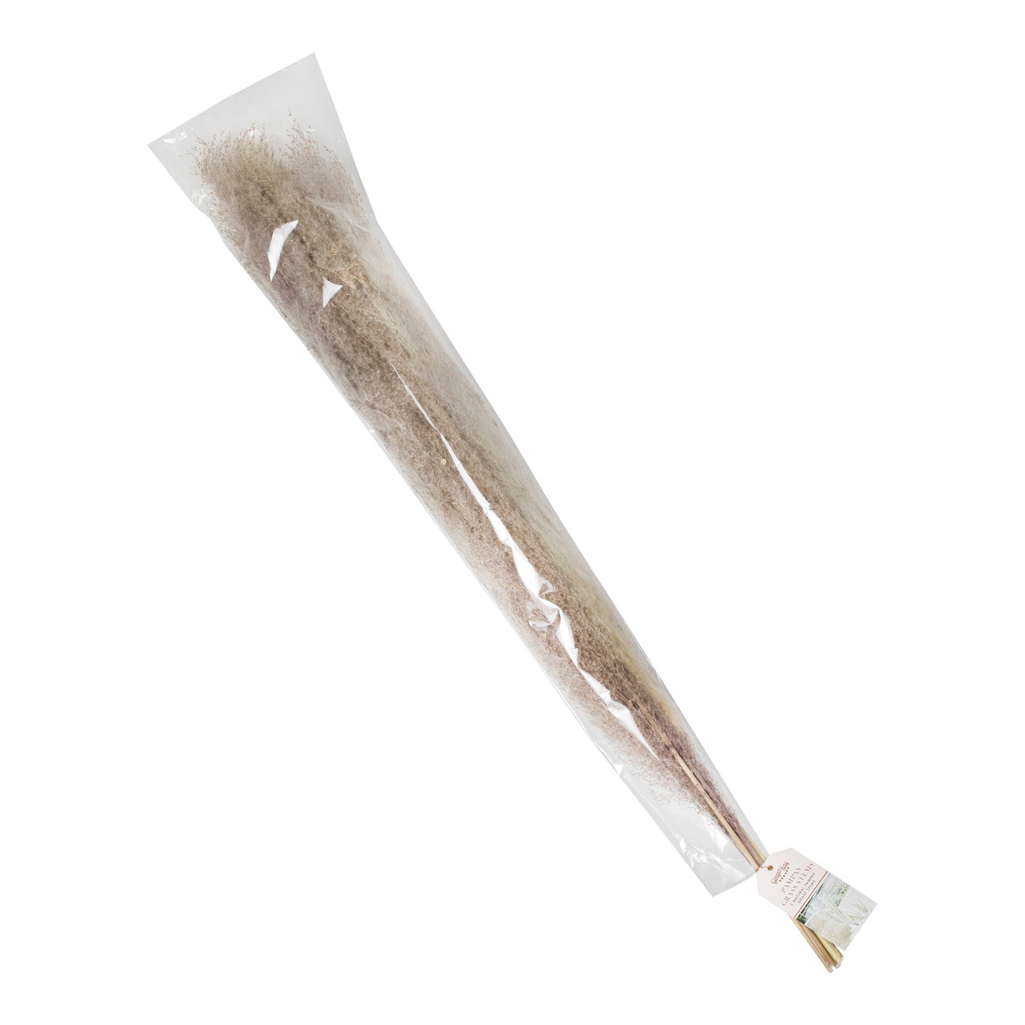 Natural Pampas Grass Decorations- 5 Inner Pack