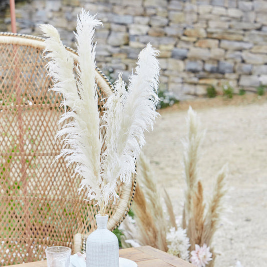 Bleached Pampas Grass Decorations- 5 Inner Pack