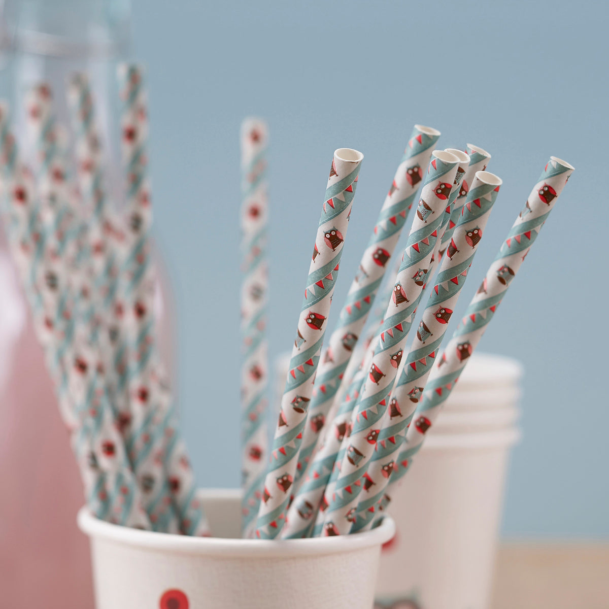 Paper Straws - Patchwork Owl- 10 Inner Pack