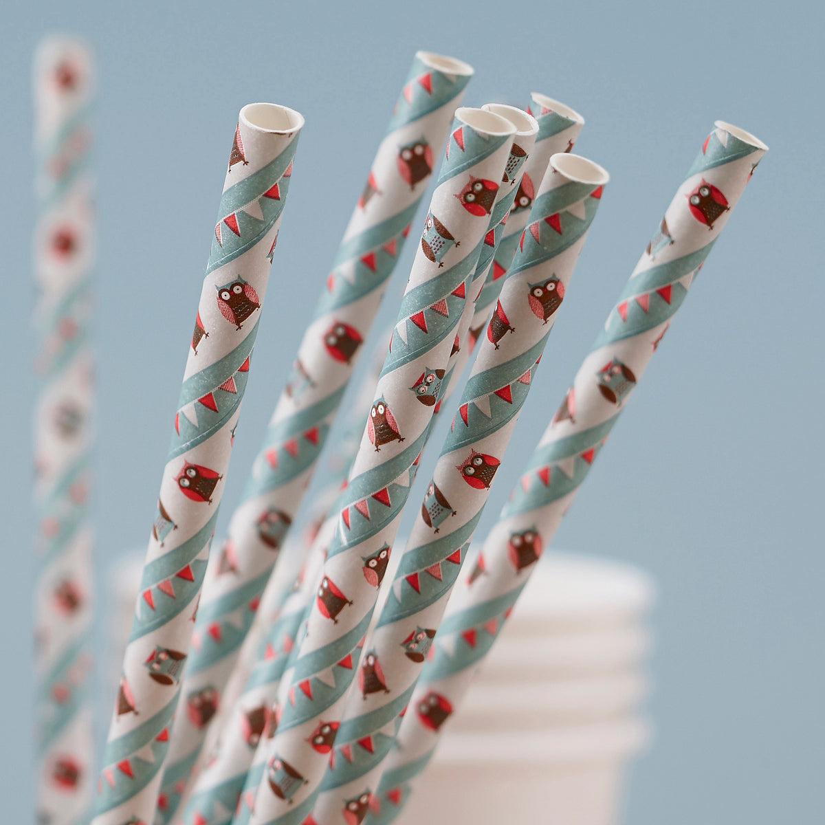 Paper Straws - Patchwork Owl- 10 Inner Pack