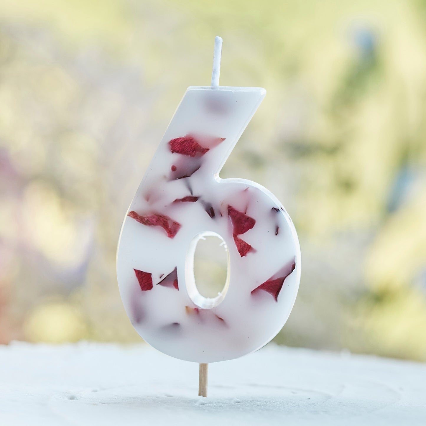 Pressed Petal Number 6 Birthday Cake Candle- 5 Inner Pack