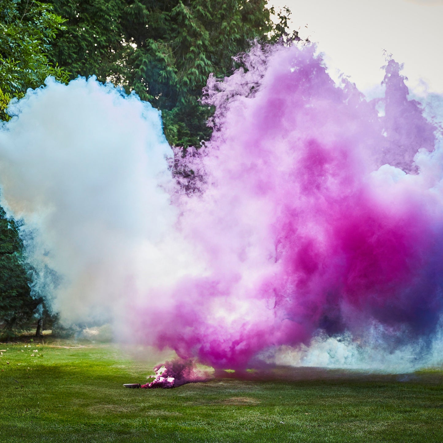Blue Wedding Smoke Bomb- 5 Inner Pack