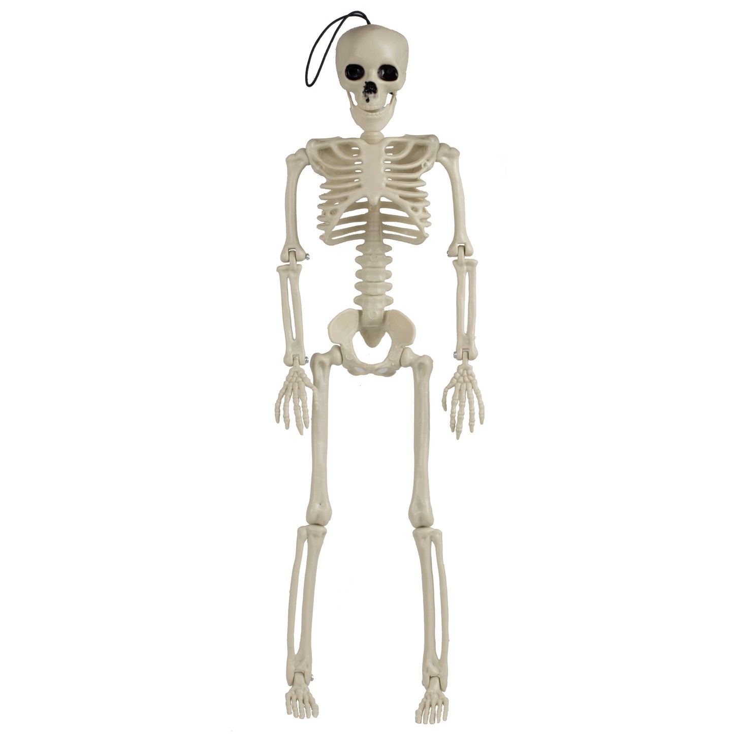 Hanging Halloween Skeleton Decoration- 5 Inner Pack