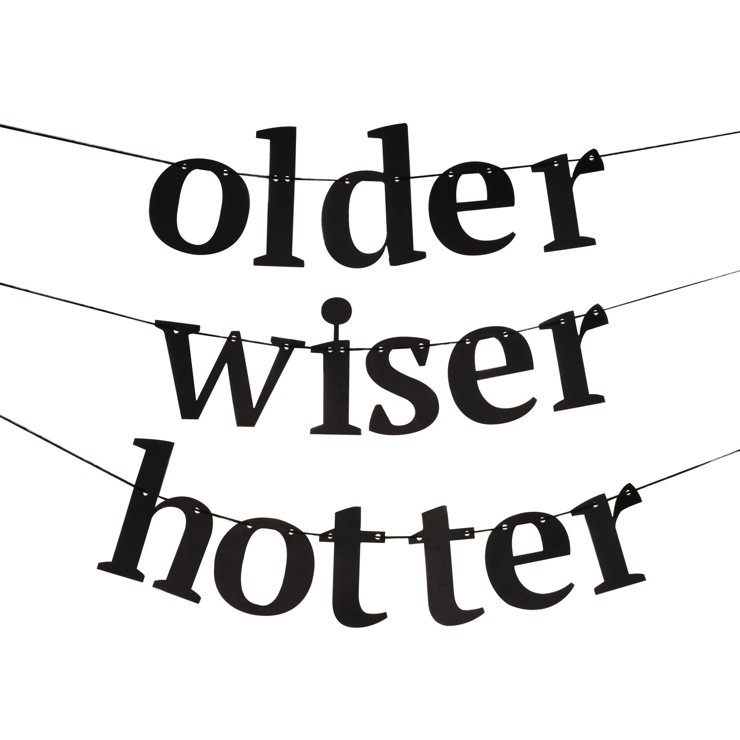 Black 'older, wiser, hotter' bunting- 5 Inner Pack