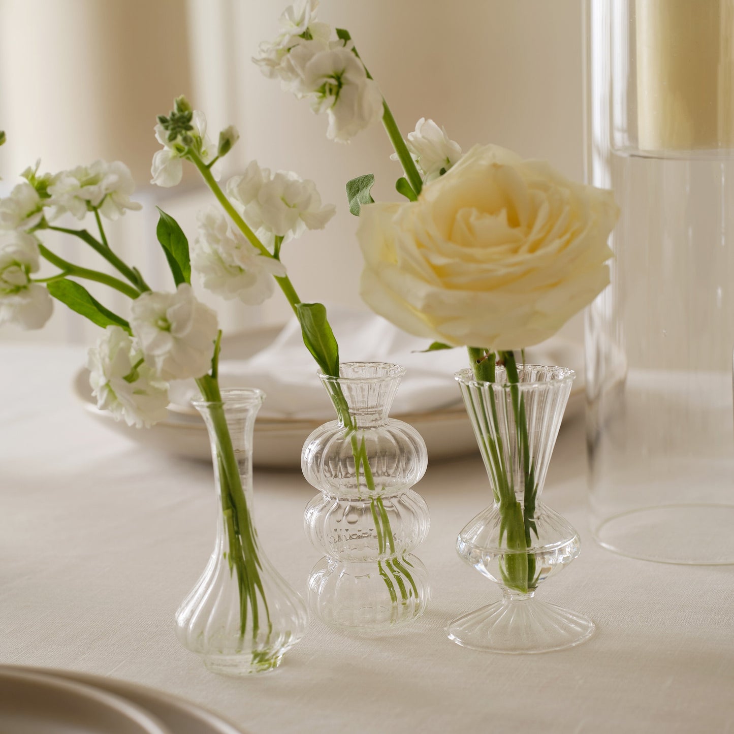 Shaped Clear Glass Bud Vases- 1 Inner Pack