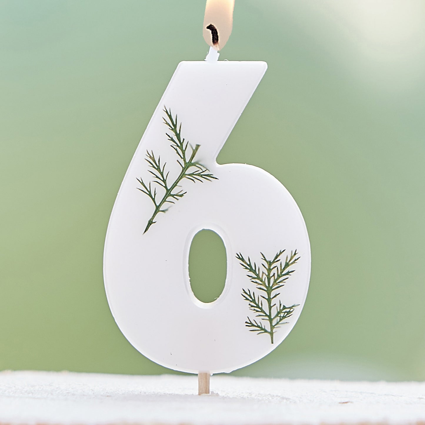 Leaf Foliage Number 6 Birthday Candle- 5 Inner Pack