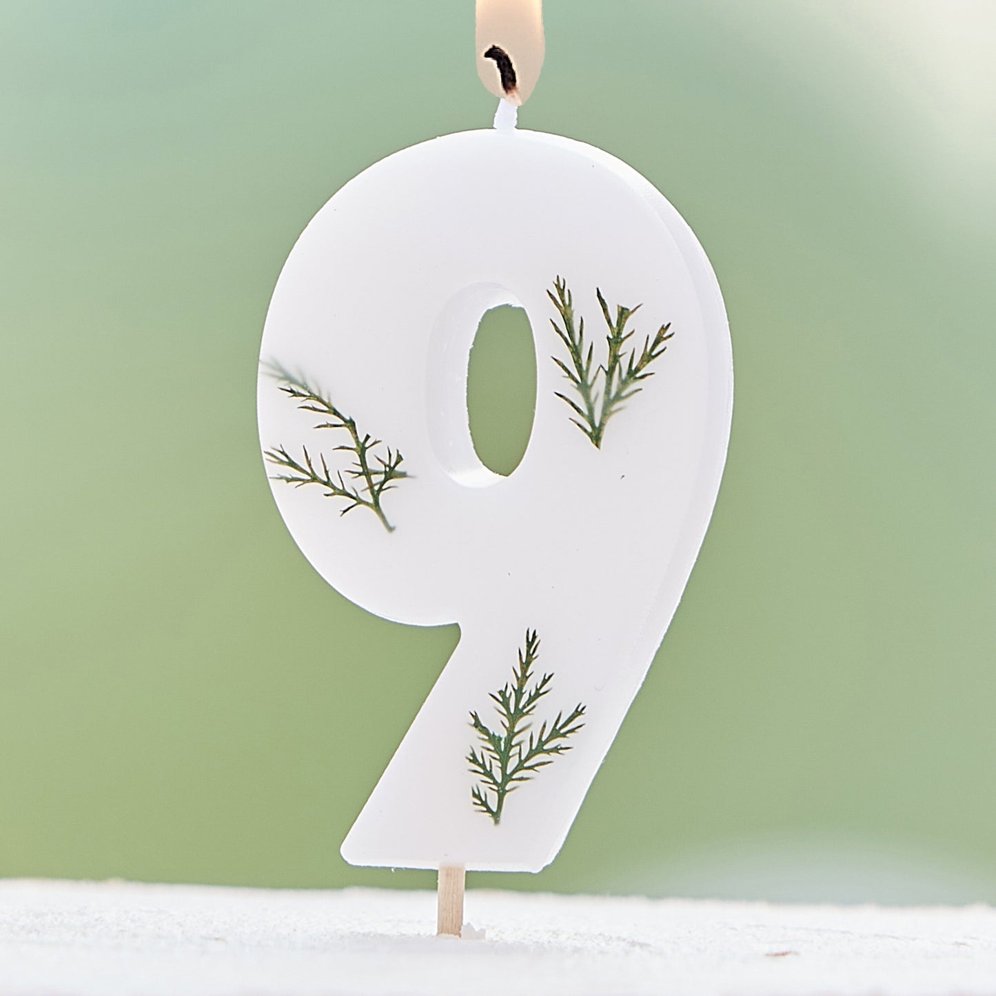 Leaf Foliage Number 9 Birthday Candle- 5 Inner Pack
