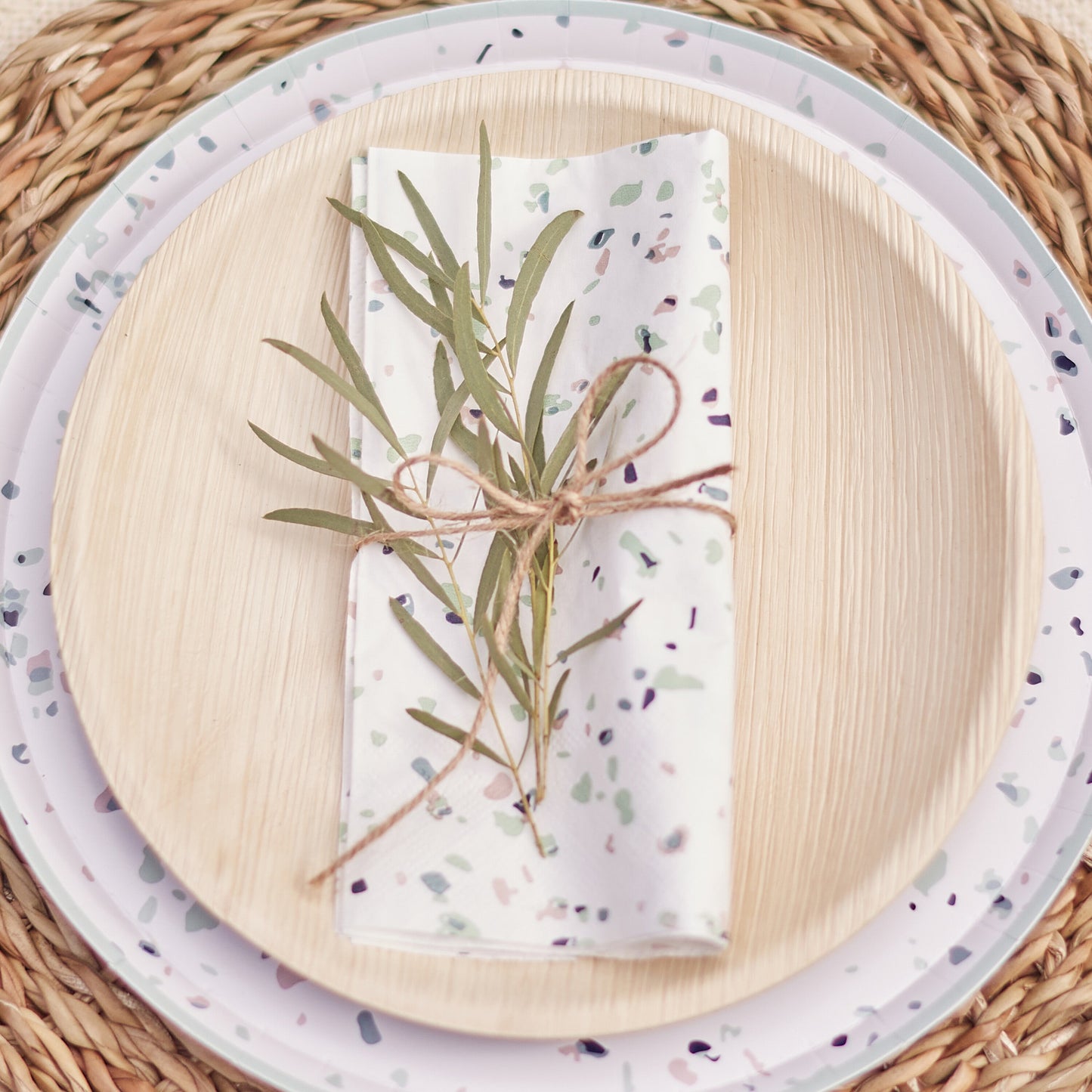 Eco Palm Leaf Plates- 5 Inner Pack