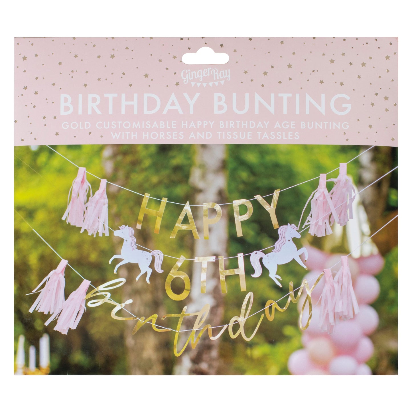 Customisable Princess Happy Birthday Party Bunting- 5 Inner Pack