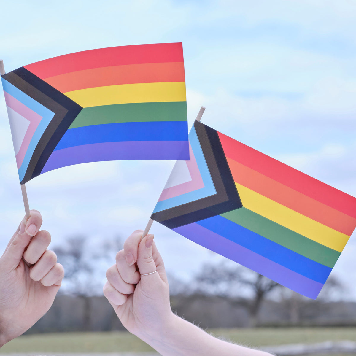 Handheld Pride Flag- 5 Inner Pack