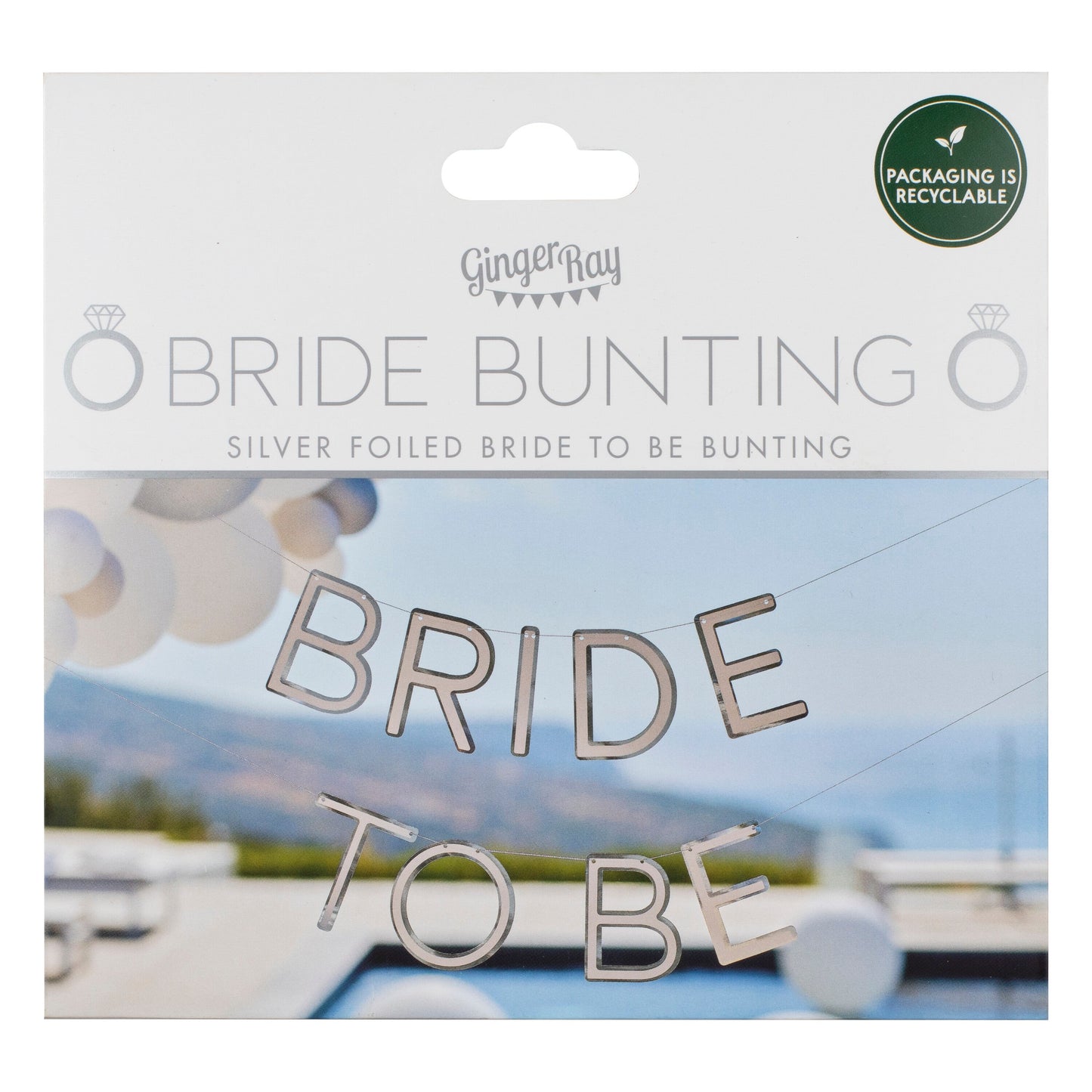 Silver Bride To Be Hen Party Bunting- 5 Inner Pack